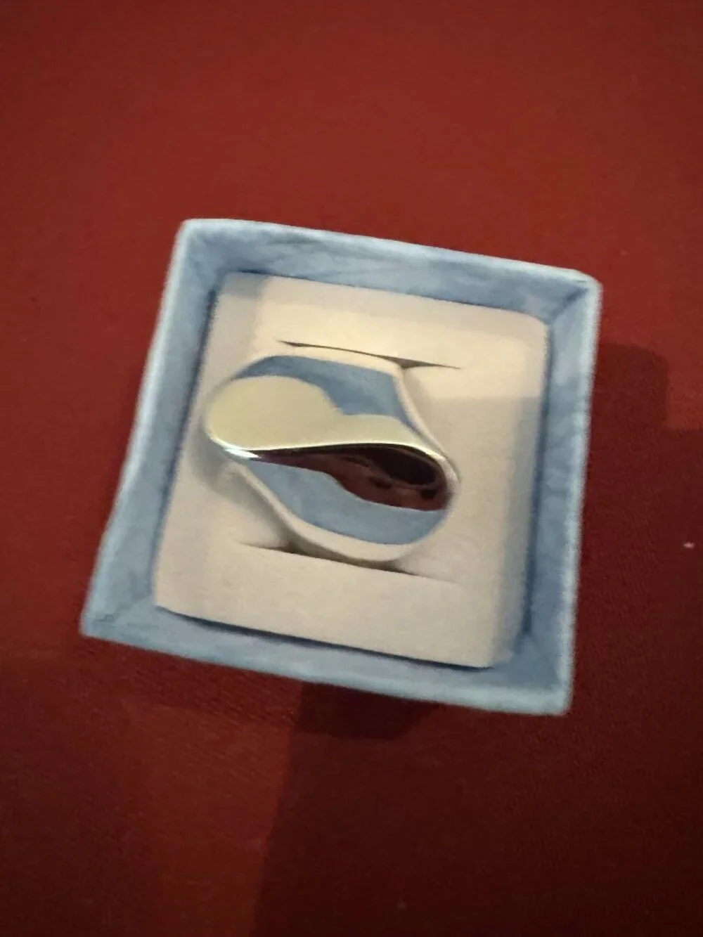 N/A nwt modernist